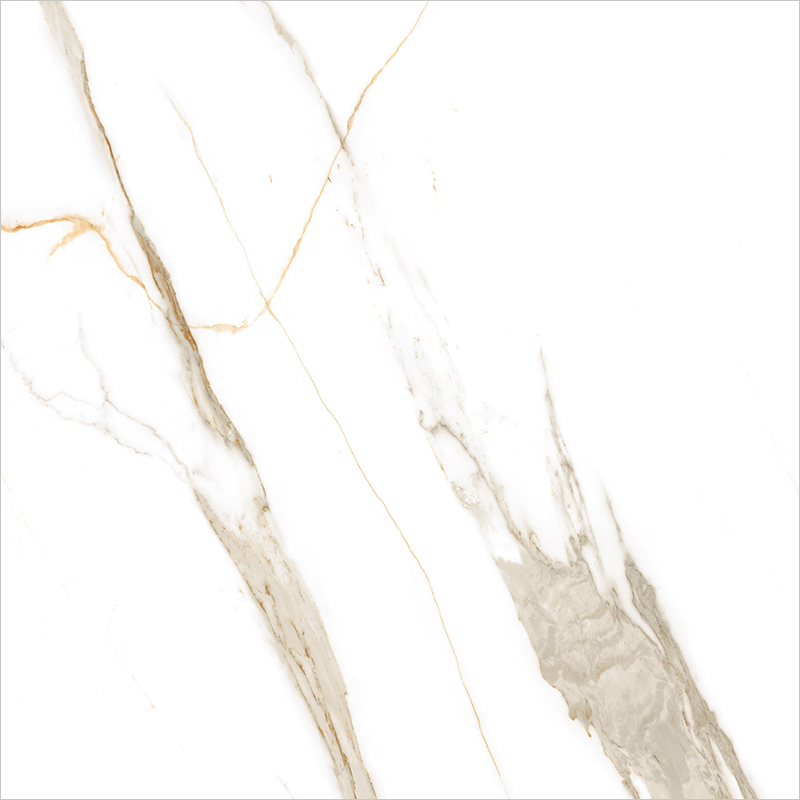 D88T02